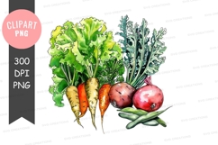 Fresh vegetables clipart png Product Image 1