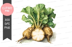 Freshly harvested vegetables clipart png Product Image 1