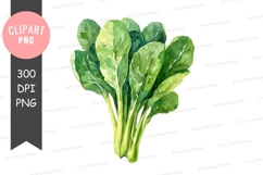 Fresh green leafy vegetables clipart png Product Image 1