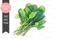 Fresh spinach leaves clipart png Product Image 1