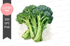 Fresh broccoli clipart png Product Image 1