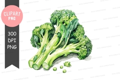 Fresh broccoli clipart png Product Image 1