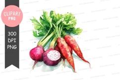 Fresh root vegetables clipart png Product Image 1