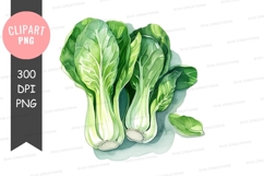 Clipart png of bok choy Product Image 1
