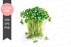 Bunch of fresh clover leaves clipart png Product Image 1