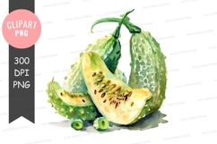 Bitter melon clipart png Product Image 1
