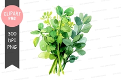 Watercolor eucalyptus leaves clipart png Product Image 1