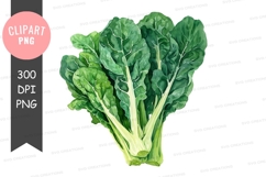 Fresh green leafy vegetables Product Image 1