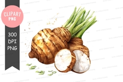 Fresh ginger root clipart png Product Image 1