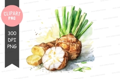 Fresh potatoes and garlic clipart png Product Image 1