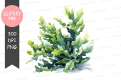 Underwater coral clipart png Product Image 1