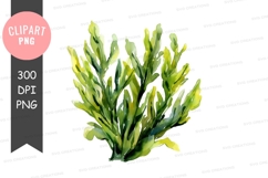 Seaweed clipart png Product Image 1