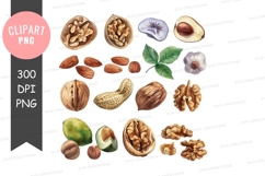 Assorted nuts and seeds clipart png Product Image 1
