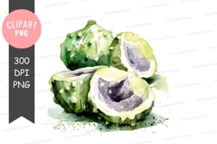 Watercolor illustration of sliced bitter melon Product Image 1