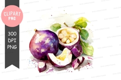 Watercolor illustration of passion fruit Product Image 1