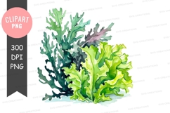 Green leafy vegetables clipart png Product Image 1