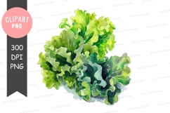 Fresh lettuce leaves clipart png Product Image 1