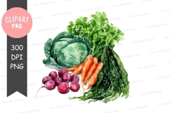 Fresh vegetables clipart png Product Image 1
