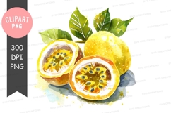 Passion fruit clipart png Product Image 1