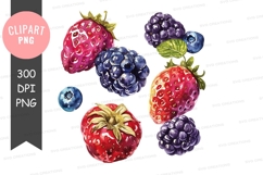 Assorted berries clipart png Product Image 1