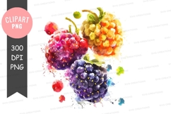 Assorted berries clipart png Product Image 1