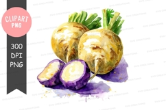 Watercolor illustration of root vegetables Product Image 1