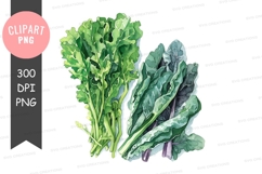 Assorted fruits clipart png Product Image 1