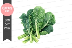 Fresh green leafy vegetables clipart png Product Image 1