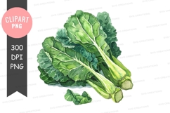 Fresh green leafy vegetables clipart png Product Image 1