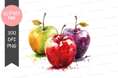 Three colorful apples Product Image 1