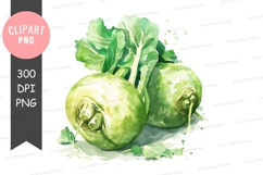 Fresh turnips clipart png Product Image 1