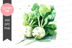 Fresh turnips clipart png Product Image 1