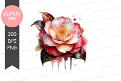 Elegant camellia flower clipart png Product Image 1