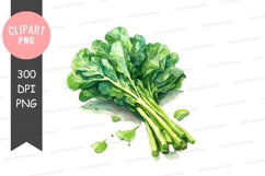 Fresh green leafy vegetables Product Image 1