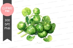 Watercolor clovers Product Image 1