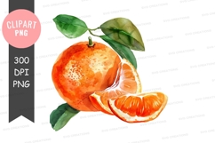 Fresh orange clipart png Product Image 1