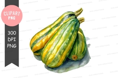 Clipart png of three delicata squashes Product Image 1