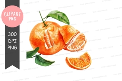 Fresh oranges clipart png Product Image 1