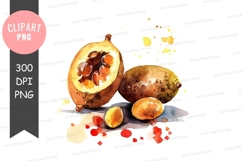 Watercolor illustration of soursop fruits Product Image 1