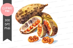 Cacao pod clipart png Product Image 1