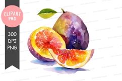 Watercolor illustration of passion fruit Product Image 1