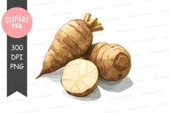 Jicama clipart png Product Image 1