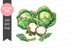 Fresh cabbage clipart png Product Image 1