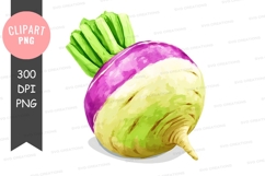 Purple top turnip clipart png Product Image 1