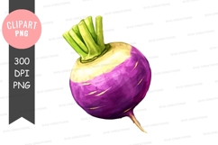 Purple and yellow root vegetable clipart png Product Image 1