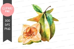 Starfruit clipart png Product Image 1
