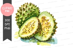 Durian fruit clipart png Product Image 1