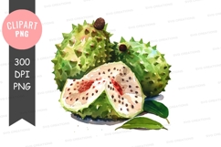Soursop clipart png Product Image 1