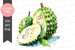 Durian clipart png Product Image 1