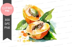 Watercolor illustration of a papaya clipart png Product Image 1